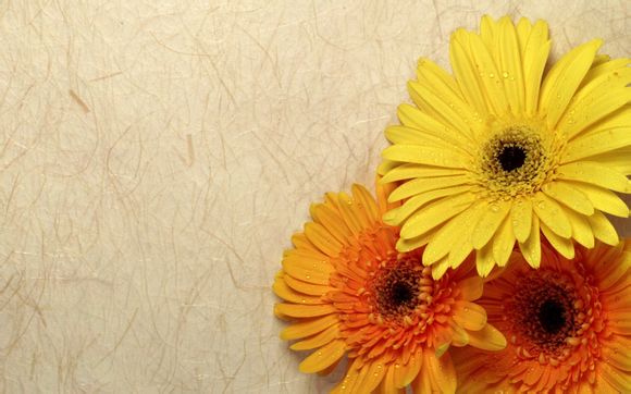 牛头项链有什么意义