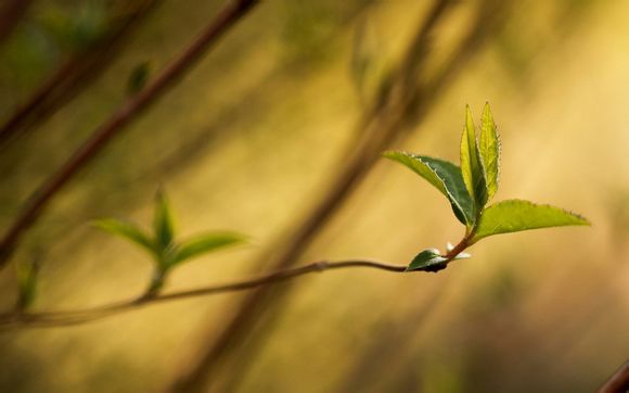 玉手镯摘下后抹什么油
