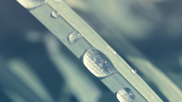 戒链是什么意思