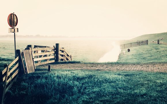 现在的黄金价多少