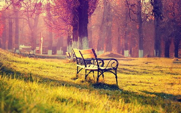 黄金克价是多少钱一克