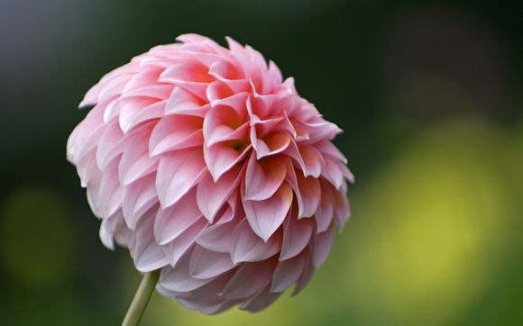 铂金几分什么意思