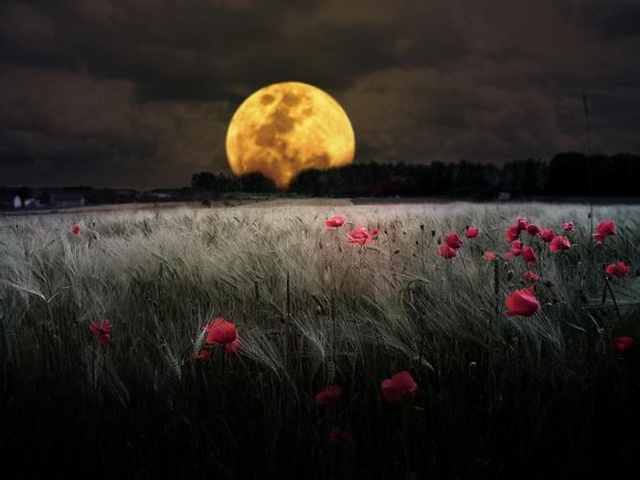 玉佩戴身上有什么好处