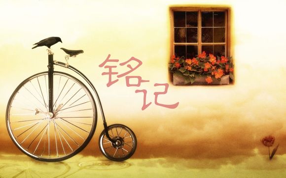 藏青玉多少钱一克