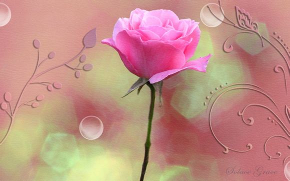 白金什么链条好看