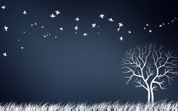 心悦会员钻戒多少钱