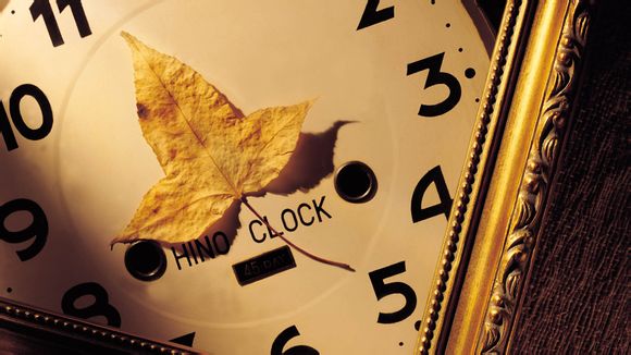 狐狸爪子代表什么