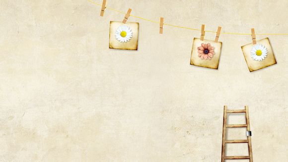 大家结婚戒指一般多少