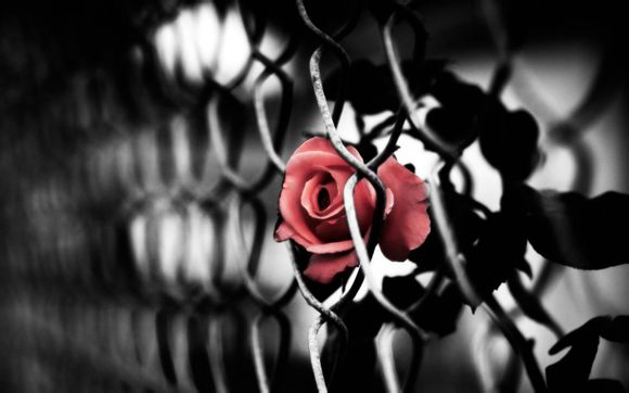 一克拉咖色钻值多少钱