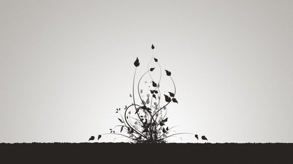 好玉到底是什么