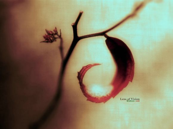 人带银有什么好处