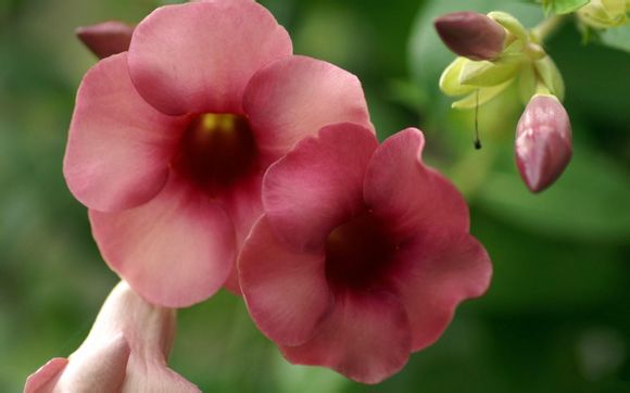 如何辨别金包银首饰