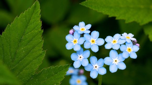 今天银子多少钱1克