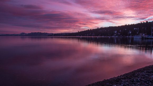 什么是辣色干青