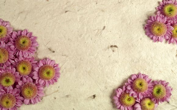 k金炸色使用什么