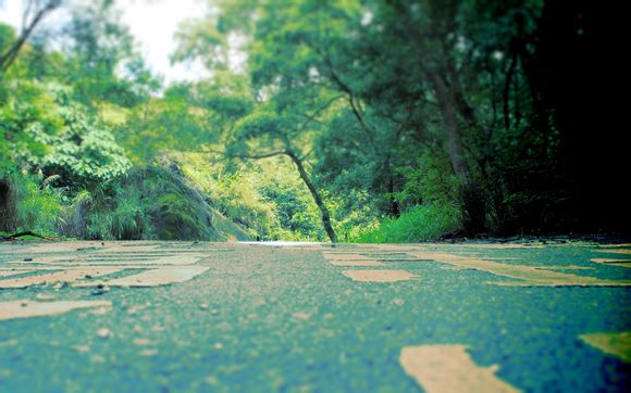 苏州为什么会有蝙蝠