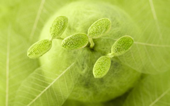 女生腕表什么牌子好