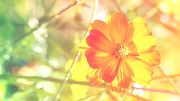 黄金750是多少钱