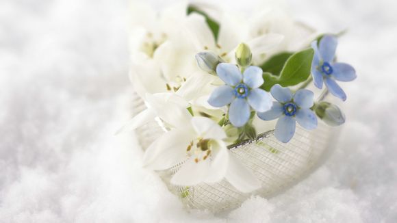 尚美镶钻多少钱