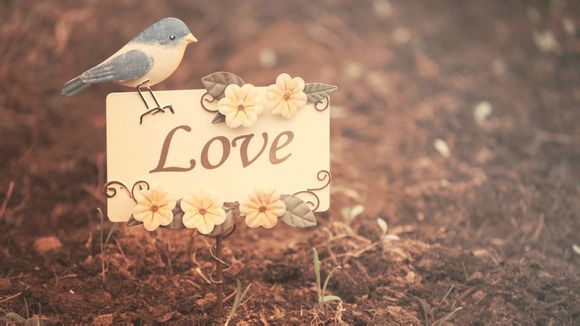 为什么黑曜石要开光