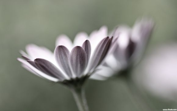 哪里进货和田玉