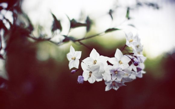 翡翠配什么手表