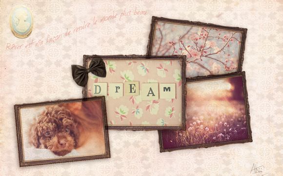 包包统号是什么