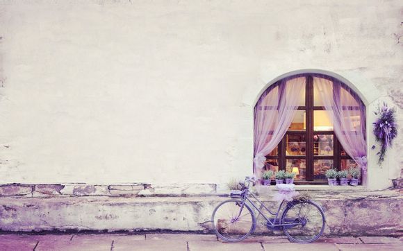 翡翠色调阳是什么意思