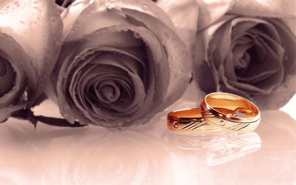 毛料加工包括什么内容