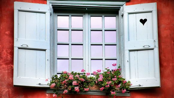 玫瑰花是什么钻戒商标