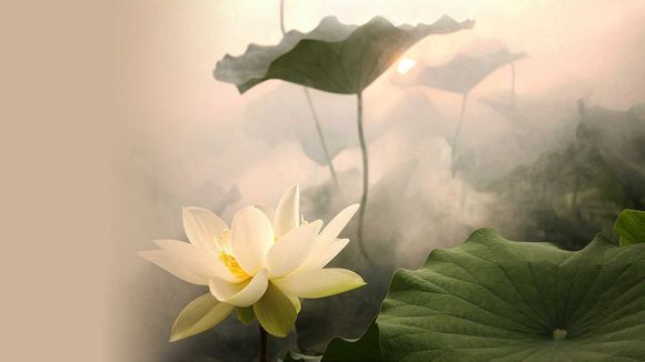 2016什么玉器最热销