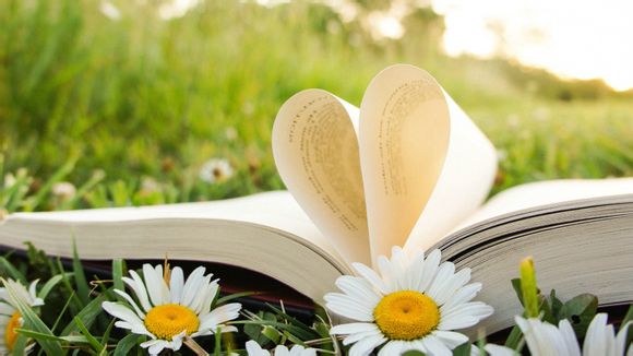 玉纹是什么样子的