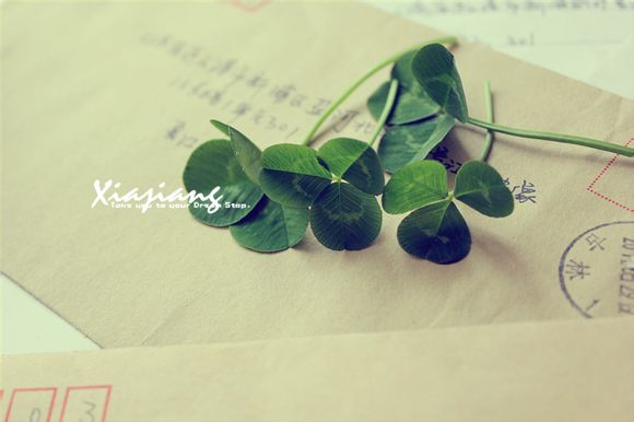 戒指掉在地上如何圆场