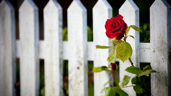 梦见婚戒碎了代表什么